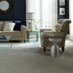 Cute puppy on sofa | Good Shepherd Flooring and Design Center