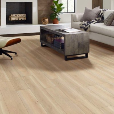 Shaw vinyl flooring living room | Good Shepherd Flooring and Design Center