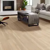 shaw-vinyl-flooring-living-room